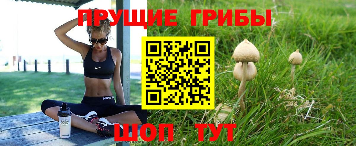 Псилоцибиновые грибы ЛСД  Вход с VPN  Баксан  Галлюциногенные грибы GOLDEN TEACHER 