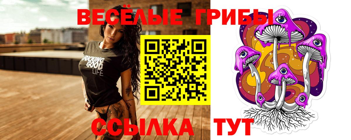 Галлюциногенные грибы мицелий Баксан
